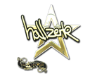 hallzerk (Gold) | Copenhagen 2024 image